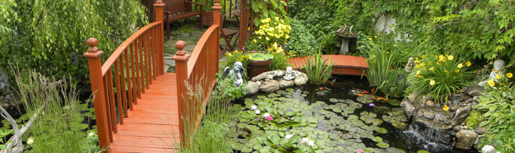 beautiful garden with pond