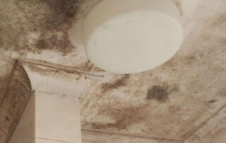 bathroom mould on ceiling