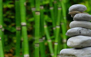 bamboo and zen stone garden