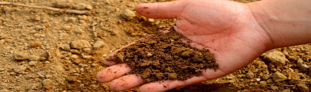 Hand in soil