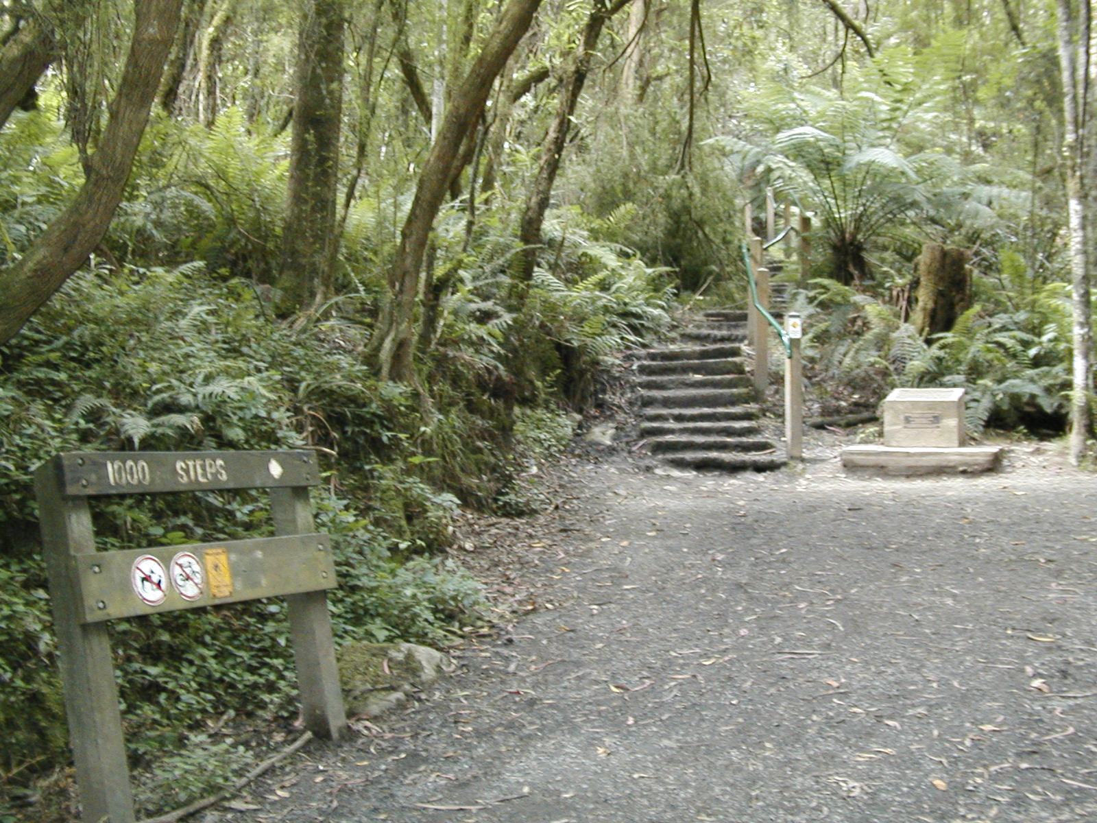 ferntree gully inspection