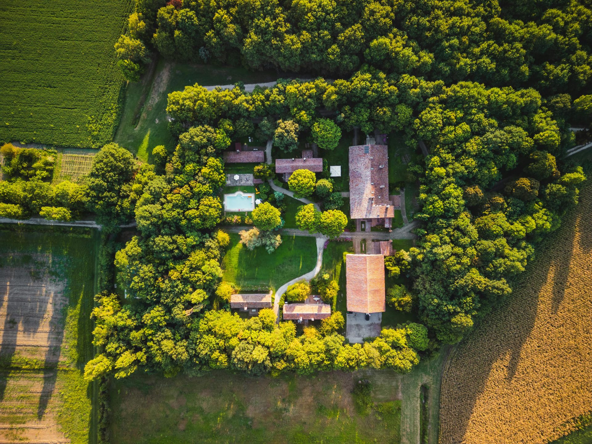 birds eye view of house surrounded by trees